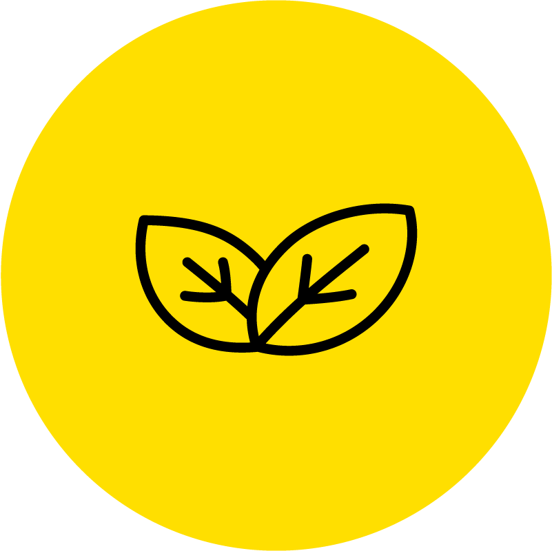 Good Food_Icon_Plant Forward