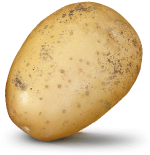 Potato with value on it