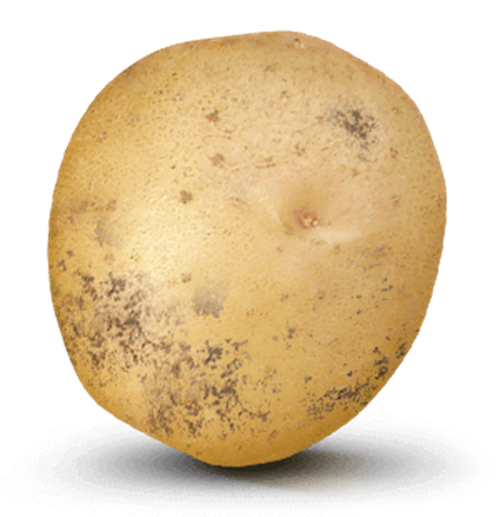 Potato with value on it