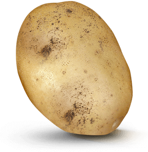 Potato with value on it