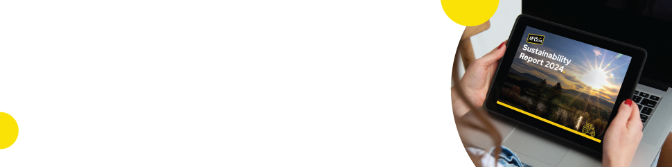 McCain_Reports Downloads_Banner (1)