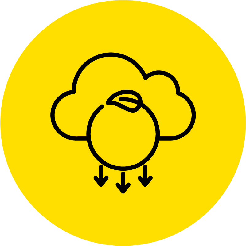 REO_Icon_Emission Reduction